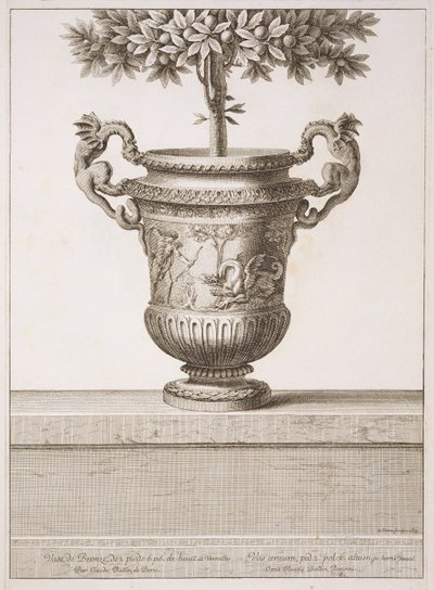 Urne di bronzo usate per alberi di agrumi, illustrazione da 