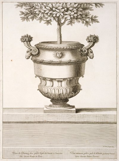 Urne di bronzo usate per alberi di agrumi, illustrazione da 