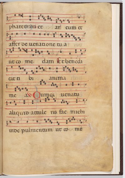 Foglio 8 da un frammento antifonale da Italian 13th Century