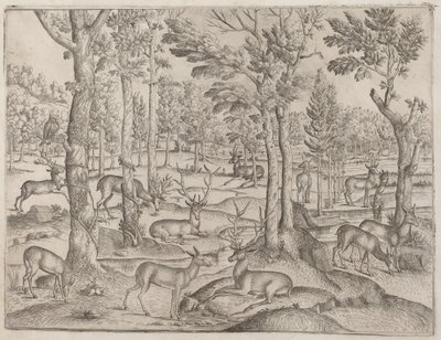 Cervi nella foresta da Italian 16th Century