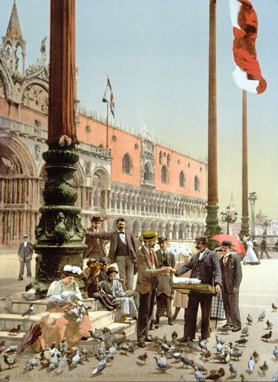 Nutrire i piccioni in Piazza San Marco, Venezia da Italian Photographer