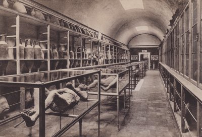Interno del Museo da Italian Photographer