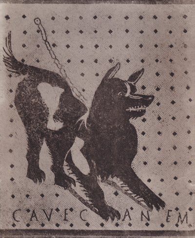 Mosaico, Cave Canem da Italian Photographer