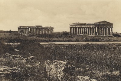 Napoli: Pesto, Templi Di Nettuno E Di Cerere da Italian Photographer