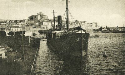 Panorama dal Porto (b/w photo) da Italian Photographer