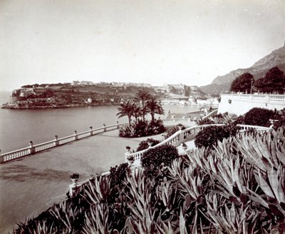 Panorama di Montecarlo. In primo piano, vegetazione densa di piante di agave e cactus da Italian Photographer