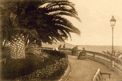 San Remo, Giardini Regina Elena da Italian Photographer