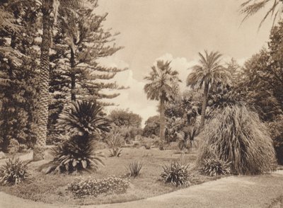 Sicilia / Sicily: Villa Tasca, Palermo (b/w photo) da Italian Photographer