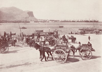 Sicilia: sul molo di Palermo (foto b/n) da Italian Photographer