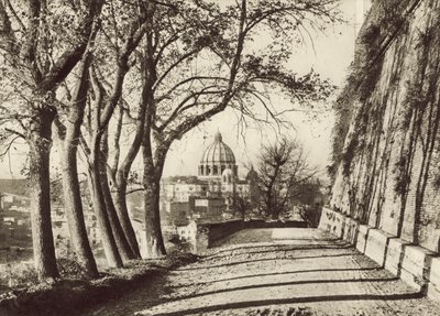 San Pietro visto dal Gianicolo da Italian Photographer