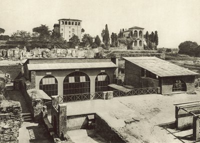 Palatino, Casa di Livia da Italian Photographer
