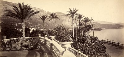 Il giardino del Casinò di Montecarlo, nel Principato di Monaco da Italian Photographer