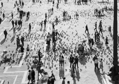 Vista della folla in Piazza San Marco, Venezia, c.1965 da Italian Photographer