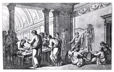 Una scuola di anatomia nell