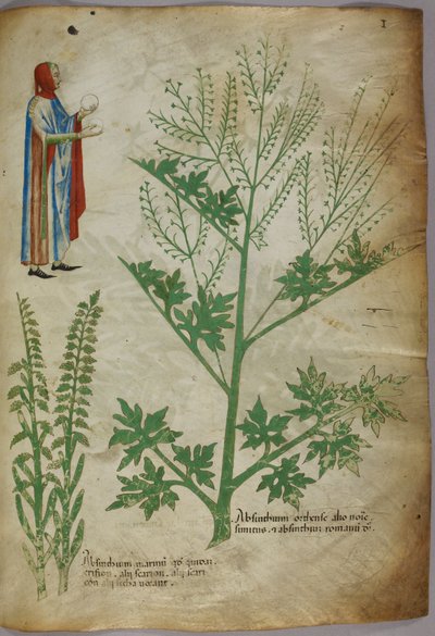 Figura in abito da sera che tiene in mano un globo bianco; piante, 1440 circa (inchiostro e colore su pergamena) da Italian School