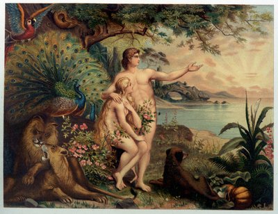 Adamo ed Eva nel Paradiso terrestre (Eden) - in "Aurea Bibbia classica: storia della rivelazione divina nell