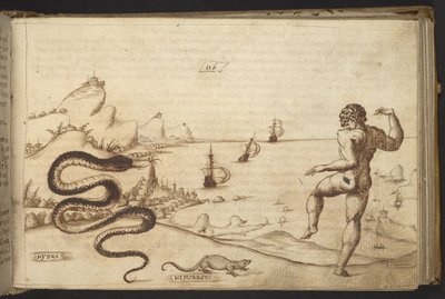 Add. 82955, f.115 Serpente (
