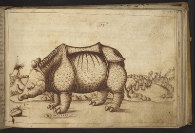 Rinoceronte, da Historia Animalium da Italian School