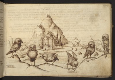 Uccelli (