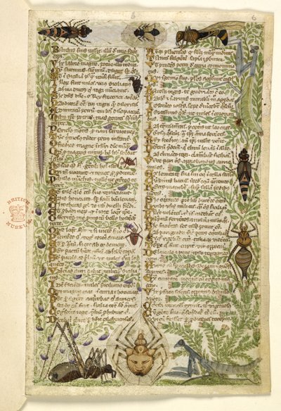 Foglie da un trattato in prosa sui Sette Vizi e un verso sugli eventi della storia della Sicilia al tempo di Federico II, di Cocharelli, c.1330-40 da Italian School