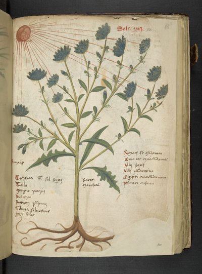 Add MS 41623 f.114r 