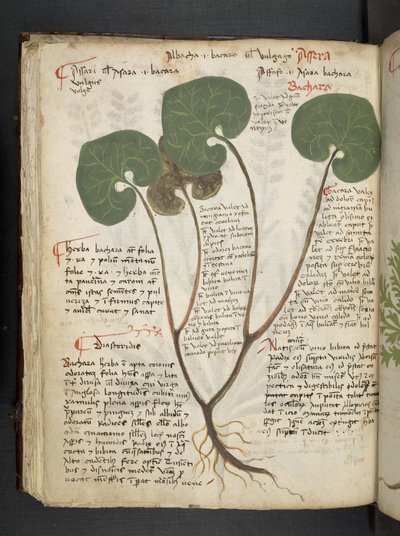 Add MS 41623 f.60v 