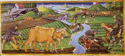 Agricoltura all
