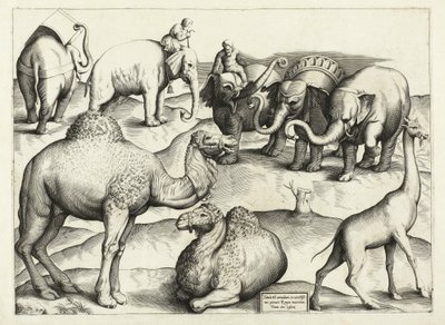 Dipinti di animali dall