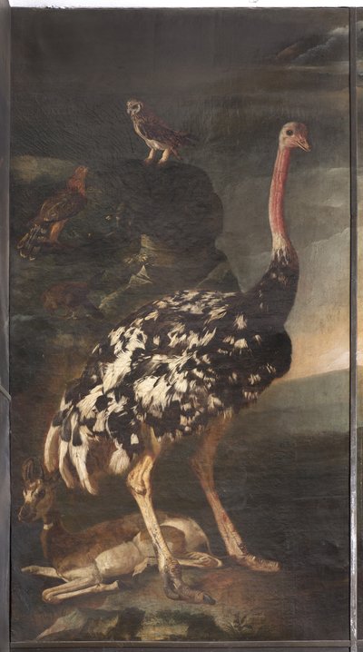 Animali, Mito di Orfeo (dettaglio) da Italian School
