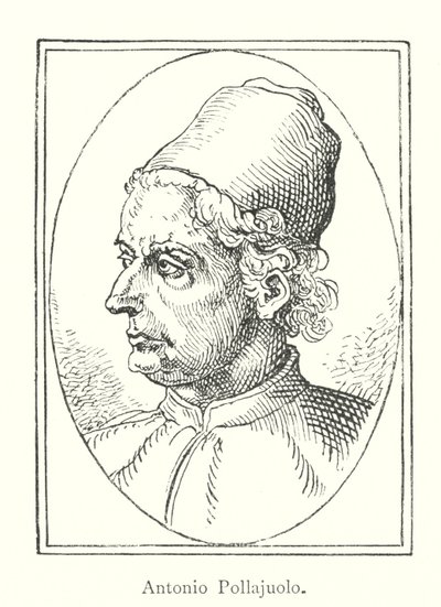 Antonio Pollaiuolo da Italian School