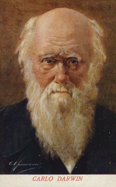 Charles Darwin (1809-1882), naturalista inglese (litografia a colori) da Italian School