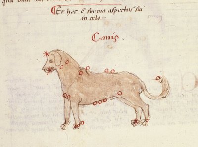 Costellazione del cane (Canis). Miniatura da 