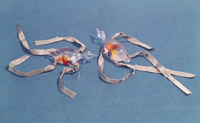 Copia di due termometri medici dal Museo di Storia della Scienza di Firenze da Italian School