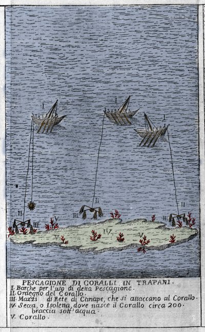 Pesca del corallo nel Golfo di Trapani in Sicilia, rappresentazione di piccole isole sottomarine dove si formano barili di corallo. Incisione da 