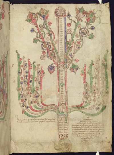 Corpus Christi Oxford MS 255A f.11r Albero che raffigura la genealogia delle figure bibliche nel Nuovo Testamento da Italian School