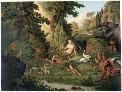 Creazione di Eva dalla coscia di Adamo - in "Aurea Bibbia classica: storia della rivelazione divina nell