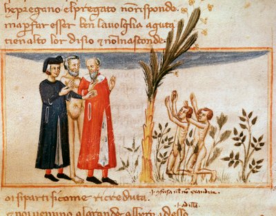 Dante e Virgilio incontrano Forese de Donati con i golosi (canto 23 del Purgatorio, nella Divina Commedia) da Italian School