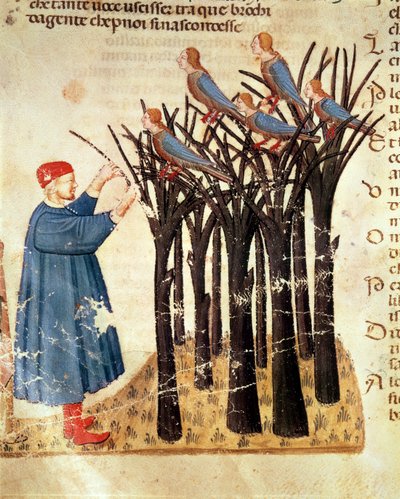 Dante e le anime trasformate in uccelli, dalla Divina Commedia di Dante Alighieri (1265-1321) da Italian School