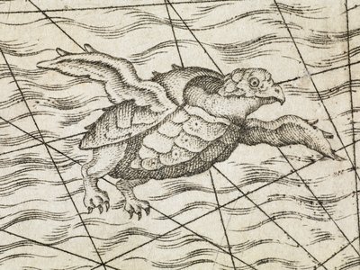 Dettaglio di una tartaruga volante su una mappa dell