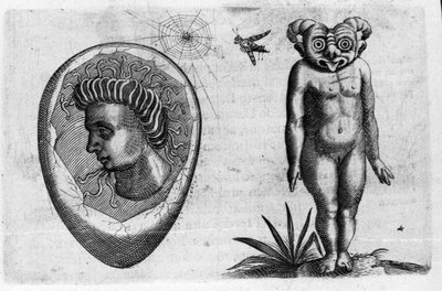 Diversi tipi di mostri umani: un uomo fossile e un mostro. Incisione da 