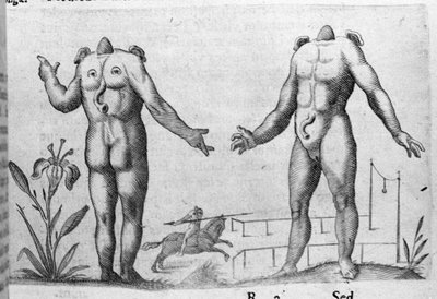 Diversi tipi di mostri umani: un uomo senza testa. Incisione da De monstrorum natura, causis et differentiis di Fortunio Liceti (1577-1656), scienziato italiano. 1646 da Italian School