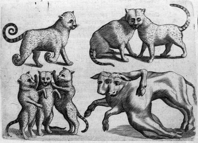 Diversi tipi di mostri: gatti e mucche con corpi multipli. Incisione da 