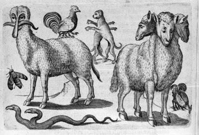 Diversi tipi di animali mostruosi, con corpi multipli o un numero anomalo di arti. Incisione da “De monstrorum natura, causis et differentiis” di Fortunio Liceti (1577-1656), scienziato italiano. 1646 da Italian School