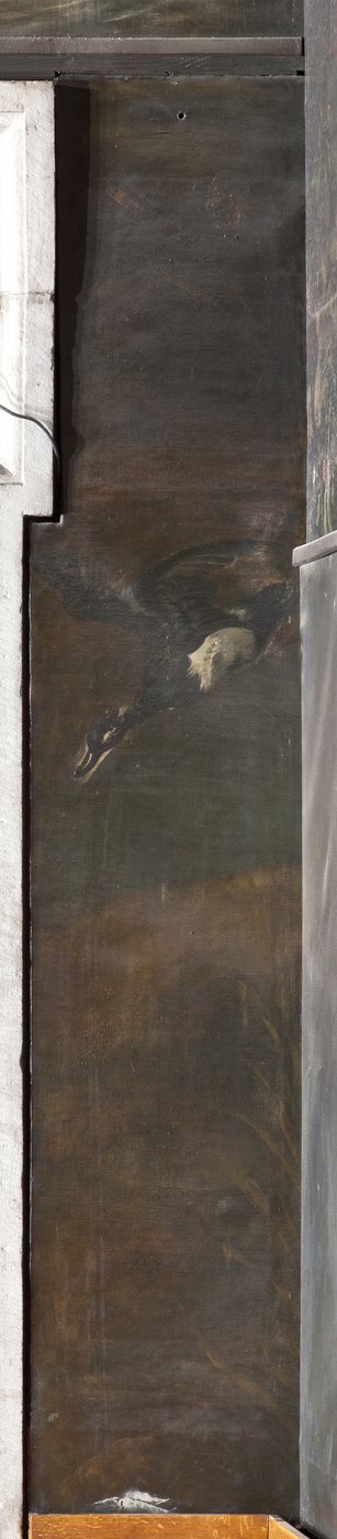 Anatra, Mito di Orfeo da Italian School