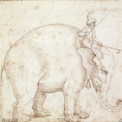 Elefante Hanno e il suo mahout da Italian School
