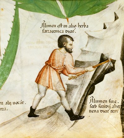 Estrazione dell