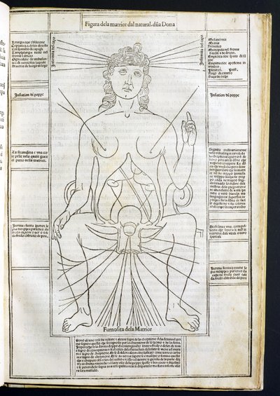 Anatomia femminile da Fasciculus Medicinae di Johannes de Ketham (d.c.1490) c.1507 da Italian School