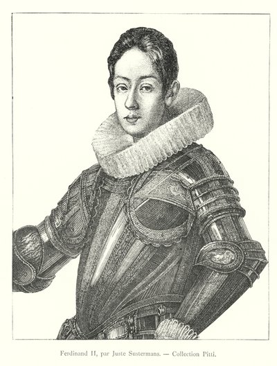Ferdinando II, di Justus Sustermans, Collezione Pitti (incisione) da Italian School
