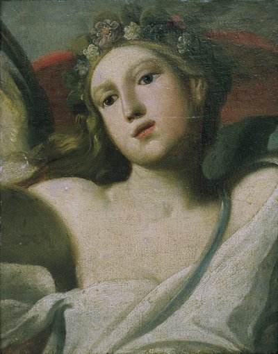Flora da Italian School