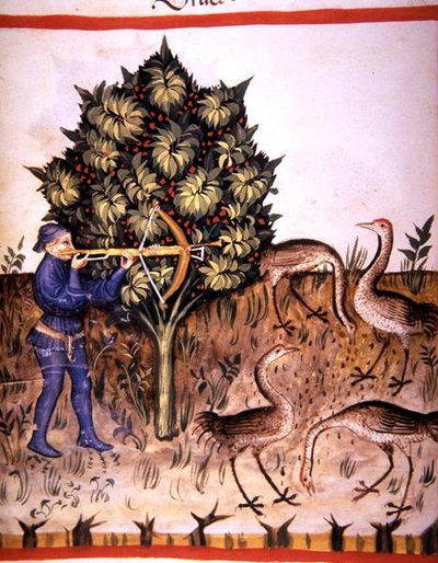 Fol.70v Caccia alla Gru, illustrazione da 
